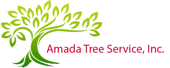 Amada Tree Service, Inc.
