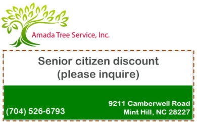 Senior citizen discount